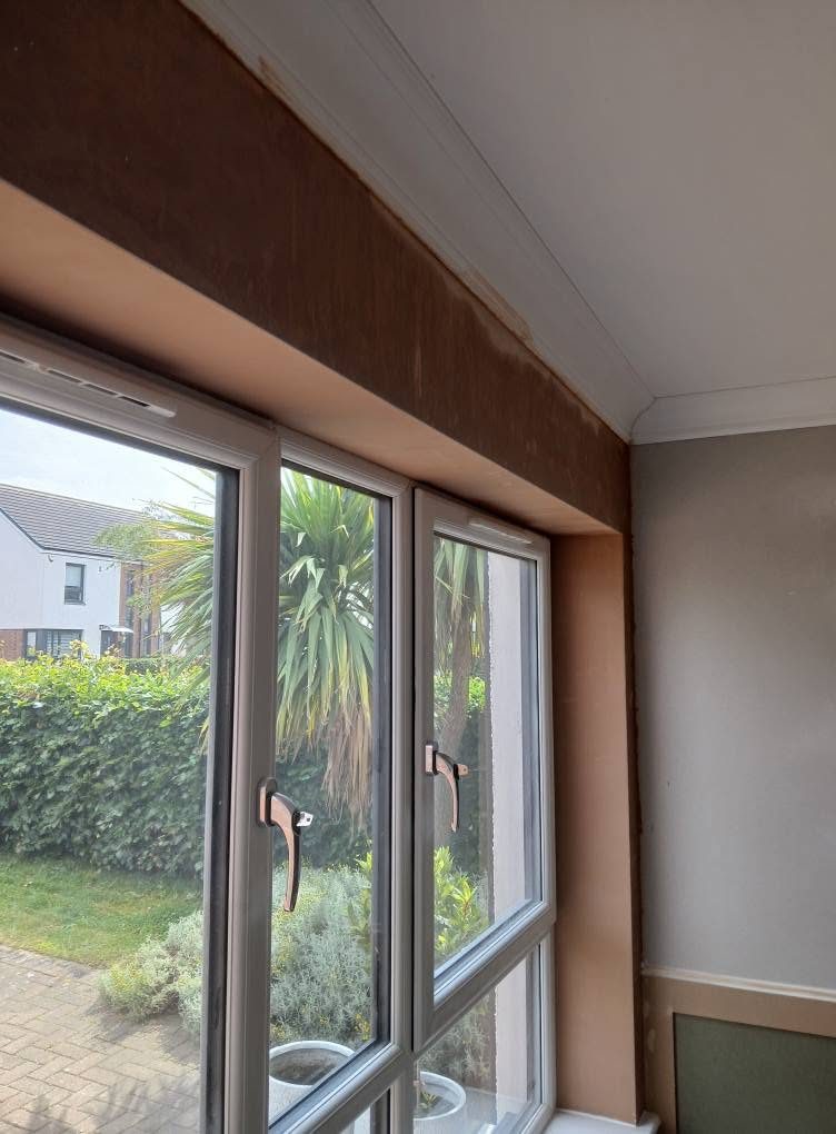 New window reveal and coving finished